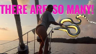 This Was NOT What We Expected in Panama EPS 319