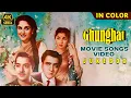 Download Lagu Ghunghat Movie Color Songs Video Jukebox 60s 4K | Asha Parekh, Bharat Bhushan, Bina Rai |Hindi Songs