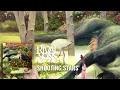 Rival Sons: Shooting Stars (Official Audio)