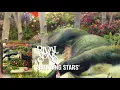 Download Lagu Rival Sons: Shooting Stars (Official Audio)