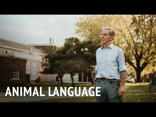 Animal Language | Dr Murray Corke