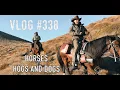 Download Lagu horseback hunting hogs with dogs with Mountain Horses Outfitters Hanmer Springs New Zealand