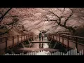 Download Lagu Cinta Dari Seberang - Zinidin Zidan Feat Yaya Nadila (Lirik Lagu)