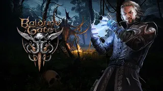 BG3 Baldur s Gate 3 I What Happens If Gale Gets No Magic Artefacts I All Dialogue Options