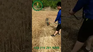 المحشة عندنا و مفيش زينا شوف  و اتفرج دندنها