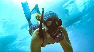 SURVIVING off the SEA in this TROPICAL ISLAND PARADISE // The ULTIMATE Caribbean CATCH CLEAN COOK