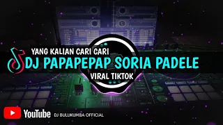 Download DJ PAP PEP PAP SURIA VADELE VIRAL TIKTOK 2021 MP3