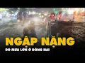 Download Lagu Mưa lớn trong đêm, nhiều tuyến đường ở Đồng Nai bị ngập đến yên xe máy