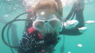 25. Low Visibility, Food Poisoning, and a Sailboat Project Update – Sailing Vessel Somnium