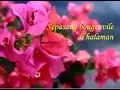 Download Lagu BOUGENVILE - Wiwiek Sumbogo (Album Keroncong Kenangan Sepanjang Masa Vol 2)