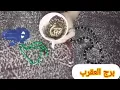 Download Lagu برج العقرب❤طاقه احتياج من الحبيب🤔انت المقصود خلي بالك❌حظ قوي جدا💎هديه من شخص مجهول🎁مكالمه مهمه📞