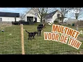 Poda Multinet – De perfecte hondeninheining voor je tuin