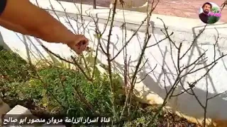 اسرار الزراعة مع مروان منصور 