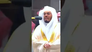 وتولى عنهم وقال يا أسفى على يوسف وابيضت عيناه من الحزن فهو كظيم ياسر الدوسري سورة يوسف 