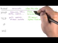 The Protocol Stack