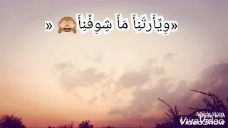 احمد موزة انا شلت منك دندنها