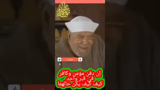 خواطر الشعراوي إن دفن مؤمن وكافر في قبر واحد كيف كيف يكن حالهما  خواطر الشعراوي إن دفن مؤمن وكافر في قبر واحد كيف كيف يكن حالهما