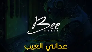                  ريمكس عداني العيب دندنها
