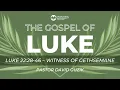 Luke 22 28-46 - Witness of Gethsemane