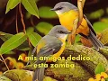 Zamba para mis amigos. Hernan Figueroa Reyes