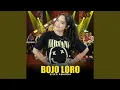 Lagu Bojo Loro