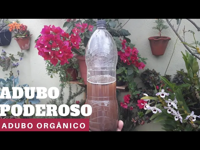ESSE ADUBO FAZ SUA ORQUÍDEA FLORIR