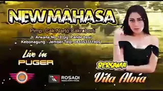 Download Vita alvia - konco turu MP3