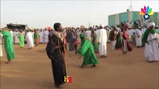 قصيدة الشيخ المكاشفي ـ إسماعيل محمد علي ـ النسيم لعقلي ناشا في السحر من ستي عائشة 