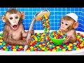 Download Lagu Monkey YoYo Bathes with Baby Monkey in Rainbow Bathtub Full of M\u0026M Candies! 🌈🛁🍬 | MONKEY YOYO
