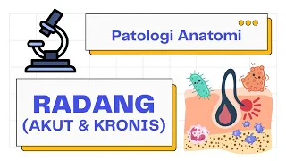 Download Radang (Inflamasi) Akut, Kronis, Granuloma | Patologi Anatomi 101 MP3