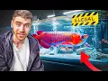 Inside Asia s RICHEST Exotic Pet Marketplace Tour