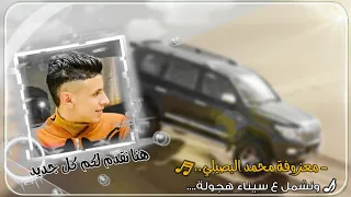 معزوفة محمد البصيلي ونشمل ع سيناء هجولة 2022 