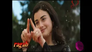 وردة الحب ومدفينا 