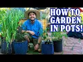 Container Gardening 101 From Pot To Plant