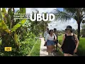 Download Lagu UBUD, Bali | Sweet Orange Walk Trail \u0026 Kajeng Rice Field | Bali Walking Tour [4K/60fps]