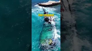 Tugboat wrecked on a reef in the Bahamas #wrecked #reef #salvage