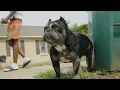 PaperRoute Woo, Young Dolph - Get Em Off (Official Video)