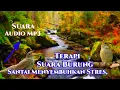 Download Lagu Burung Bernyanyi/Suara Burung Santai Menyembuhkan Stres Kecemasan dan Depresi Menyembuhkan Pikiran !
