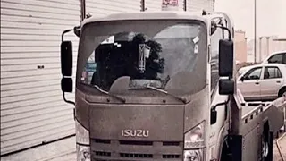 اغاني شعبيه   متحف العشاق   مسرع  دندنها