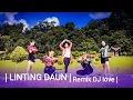 Lagu Zumba kereeen | Linting Daun Remix | Dj Love | Tiktok Viral | @zinlinda9919 | Kebun Raya Kendari