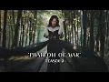Lagu DIANNE ✧ Phantom of War ✧ Teaser 2!