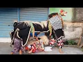 Download Lagu BARONG BANGKUNG BANGUN KEPUPUNGAN