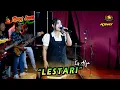 Lagu LESTARI - IIS ALYA WONGJOWO MADIUN - LIVE PLAOSAN MAGETAN x BSS AUDIO PRO