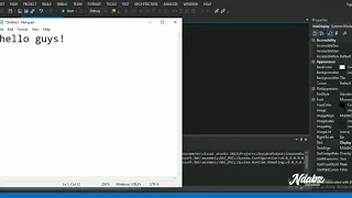 VB simple input and output program