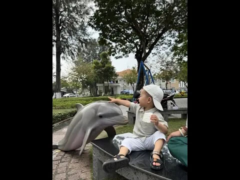 Cậu bé và cá heo