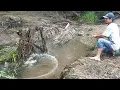 Download Lagu BIKIN HEBOH ORANG SEKAMPUNG!! PANEN GABUS MONSTER DI PARIT GALIAN BARU, BIKIN JANTUNGAN MAS BROO