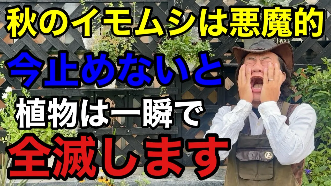 「カーメン君」ガーデンチャンネル channel featured image
