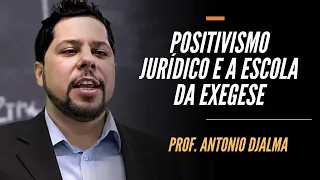 Positivismo Jurídico e a Escola da Exegese