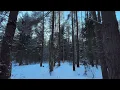 Chris Malinchak - Blue (Visuals)