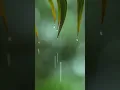 Download Lagu Beautiful Relaxing Piano Music with Rain Sounds 😴 You \u0026 Me